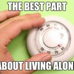 Thermostat  | THE BEST PART; ABOUT LIVING ALONE | image tagged in thermostat | made w/ Imgflip meme maker