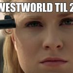 Dolores Problems | NO WESTWORLD TIL 2018 | image tagged in dolores problems | made w/ Imgflip meme maker