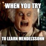 mendelssohn | WHEN YOU TRY; TO LEARN MENDELSSOHN | image tagged in frustrated bilbo | made w/ Imgflip meme maker