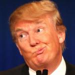 Trumpity Dumpity