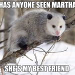 The unsuspected opossum  | HAS ANYONE SEEN MARTHA; SHE'S MY BEST FRIEND | image tagged in the unsuspected opossum | made w/ Imgflip meme maker