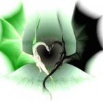 Green and Black Dragon Heart