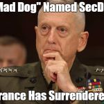 Mattis02 | "Mad Dog" Named SecDef; France Has Surrendered | image tagged in mattis01 | made w/ Imgflip meme maker