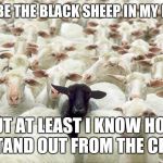 black sheep | I MAY BE THE BLACK SHEEP IN MY FAMILY; BUT AT LEAST I KNOW HOW TO STAND OUT FROM THE CROWD | image tagged in black sheep | made w/ Imgflip meme maker
