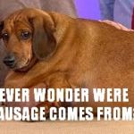 "Hey son? Ever wonder where sausage comes from?" Son: "Wheres the dog ?" | EVER WONDER WERE SAUSAGE COMES FROM? | image tagged in sausage | made w/ Imgflip meme maker