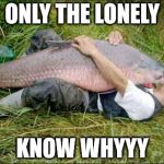 Fishy Date | ONLY THE LONELY; KNOW WHYYY | image tagged in fish lovin,kissing | made w/ Imgflip meme maker