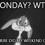 Bugs Bunny - what the? | MONDAY? WTF? WHERE DID MY WEEKEND GO? | image tagged in bugs bunny - what the,wtf,monday,weekend | made w/ Imgflip meme maker