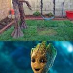 Internet Groot