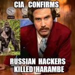 Ron Burgundy news | CIA   CONFIRMS; RUSSIAN  HACKERS  KILLED  HARAMBE | image tagged in ron burgundy news | made w/ Imgflip meme maker
