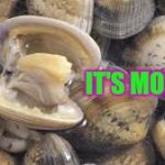 Angry Clam Screams... | IT'S MONDAY! | image tagged in angry clam | made w/ Imgflip meme maker