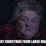 Large Marge | MERRY CHRISTMAS FROM LARGE MARGE! | image tagged in large marge | made w/ Imgflip meme maker