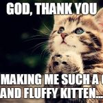 Kitten Thank You | GOD, THANK YOU; FOR MAKING ME SUCH A CUTE AND FLUFFY KITTEN..... | image tagged in memes,kitten | made w/ Imgflip meme maker