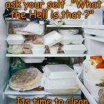 Its time to clean your refrigerator when | When you have to ask your self  "What the Hell is that ?"; Its time to clean out your refrigerator ! | image tagged in refridgerators blues | made w/ Imgflip meme maker