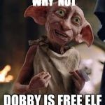 why not | WHY  NOT; DOBBY IS FREE ELF | image tagged in dobby | made w/ Imgflip meme maker