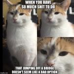 Take a nice dip  | WHEN YOU HAVE SO MUCH SHIT TO DO; THAT JUMPING OFF A BRIDGE DOESN'T SEEM LIKE A BAD OPTION | image tagged in take a nice dip | made w/ Imgflip meme maker
