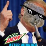 Mlg Groundhog | DONALD TRUMP; AFTER WINNING THE ELECTION | image tagged in mlg groundhog | made w/ Imgflip meme maker