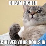 Cats Dream | DREAM HIGHER; TO ACHIEVED YOUR GOALS IN LIFE | image tagged in memes,cats | made w/ Imgflip meme maker