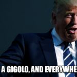 I'm just a gigolo | I'M JUST A GIGOLO, AND EVERYWHERE I GO... | image tagged in i'm just a gigolo | made w/ Imgflip meme maker