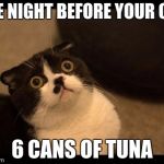 Confused Cats Cake Day | THE NIGHT BEFORE YOUR CAT; 6 CANS OF TUNA | image tagged in confused cats cake day | made w/ Imgflip meme maker