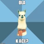 Linguistic Llama | OLA; K ACE? | image tagged in linguistic llama | made w/ Imgflip meme maker