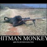 Hit Man Monkey