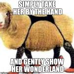 outlook | SIMPLY TAKE HER BY THE HAND; AND GENTLY SHOW HER WONDERLAND | image tagged in sexy sheep,sexy,how to | made w/ Imgflip meme maker