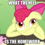 MLP MEME | WHAT THE HELL; IS THE HOMEWORK | image tagged in mlp meme | made w/ Imgflip meme maker