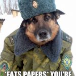 Russian Security Agent Mikhail Woofapov  | PAPERS COMRADE? *EATS PAPERS* YOU'RE UNDER ARREST! | image tagged in russian dog | made w/ Imgflip meme maker