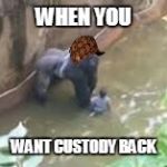 harambe | WHEN YOU; WANT CUSTODY BACK | image tagged in harambe,scumbag | made w/ Imgflip meme maker