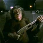 MonkeyWithShotgun