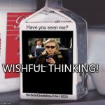 Hillary Clinton missing | WISHFUL THINKING! | image tagged in missing,hillary | made w/ Imgflip meme maker