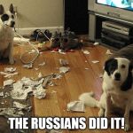 guiltydogs | THE RUSSIANS DID IT! | image tagged in guiltydogs | made w/ Imgflip meme maker