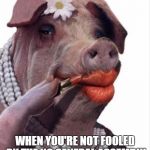 Lipstick on a pig | WHEN YOU'RE NOT FOOLED BY THE NC GENERAL ASSEMBLY | image tagged in lipstick on a pig | made w/ Imgflip meme maker