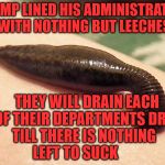 leech sanguisuga | TRUMP LINED HIS ADMINISTRATION WITH NOTHING BUT LEECHES; THEY WILL DRAIN EACH OF THEIR DEPARTMENTS DRY TILL THERE IS NOTHING       LEFT TO SUCK | image tagged in leech sanguisuga | made w/ Imgflip meme maker