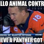 http://larrybrownsports.com/wp-content/uploads/2014/02/peyton-ma | HELLO ANIMAL CONTROL; I BELIEVE A PANTHER GOT LOSE | image tagged in http//larrybrownsportscom/wp-content/uploads/2014/02/peyton-ma | made w/ Imgflip meme maker