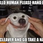 I won't murder u | HELLO HUMAN PLEASE HAND ME; A CLEAVER AND GO TAKE A NAP | image tagged in i won't murder u | made w/ Imgflip meme maker