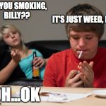 liberal kids | ARE YOU SMOKING, BILLY?? IT'S JUST WEED, MOM; OH...OK | image tagged in liberal kids | made w/ Imgflip meme maker