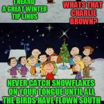 A Charlie Brown Christmas Pun  | WHATS THAT CHARLIE BROWN? I HEARD A GREAT WINTER TIP LINUS; NEVER CATCH SNOWFLAKES ON YOUR TONGUE UNTIL ALL THE BIRDS HAVE FLOWN SOUTH | image tagged in a charlie brown christmas pun | made w/ Imgflip meme maker