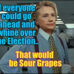 that would be great Hillary | If everyone could go ahead and whine over the Election.. That would be Sour Grapes | image tagged in that would be great hillary | made w/ Imgflip meme maker