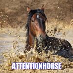 Horse in mud | ATTENTIONHORSE | image tagged in horse in mud | made w/ Imgflip meme maker