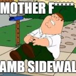 Peter Griffin | MOTHER F*****; DAMB SIDEWALK | image tagged in peter griffin | made w/ Imgflip meme maker