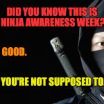 Ninja_Awareness_Week | DID YOU KNOW THIS IS NINJA AWARENESS WEEK? GOOD. YOU'RE NOT SUPPOSED TO. | image tagged in ninja | made w/ Imgflip meme maker