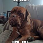 Sleepy Mastiff | IS IT MONDAY ALREADY? UGH...FML... I HATE ADULTING | image tagged in sleepy mastiff | made w/ Imgflip meme maker