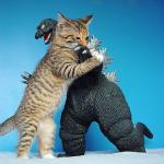 Cat vs Godzilla