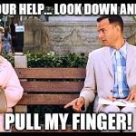 To what extent will you go to help another person? | I NEED YOUR HELP... LOOK DOWN AND PLEASE; PULL MY FINGER! | image tagged in gump,memes,pull my finger,fart,old man,please help me | made w/ Imgflip meme maker