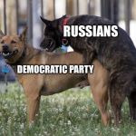 Dogs humping | RUSSIANS; DEMOCRATIC PARTY | image tagged in dogs humping | made w/ Imgflip meme maker