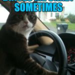 This Site Drives Me Crazy Sometimes | THIS SITE DRIVES ME CRAZY SOMETIMES | image tagged in jojo the driving cat,it came from the comments,logic has no place here,we regulate ourselves | made w/ Imgflip meme maker