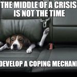 funny dog back seat | THE MIDDLE OF A CRISIS IS NOT THE TIME; TO DEVELOP A COPING MECHANISM | image tagged in funny dog back seat | made w/ Imgflip meme maker