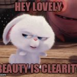 Secret Life of Pets - Snowball #3 | HEY LOVELY; BEAUTY IS CLEARITY | image tagged in secret life of pets - snowball 3 | made w/ Imgflip meme maker