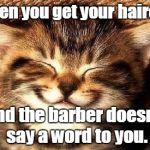 smiling kitty | When you get your haircut, and the barber doesn't say a word to you. | image tagged in smiling kitty | made w/ Imgflip meme maker